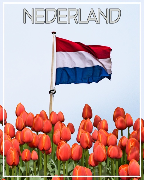 Muziekfestivals in Súdwest-Fryslân Een Muzikaal Avontuur