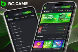 Exploring BC.Game The Rise of Crypto Gaming in the UAE