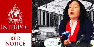 Understanding the Role of Interpol Defense Lawyers 1344852316