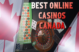 Top Rated Online Casinos Your Guide to Finding the Best Gaming Experience